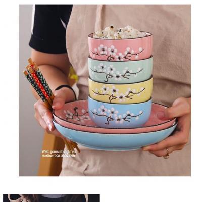 BỘ BÁT ĐŨA BĂNG MAI 4 MÀU